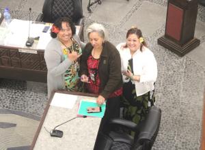 Manager of the DOH Environmental Health Services Division, Eileen Solaita and staffers