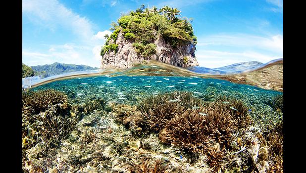 Fatu ma Futi above and below the water line.