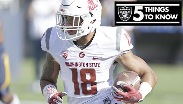 Defensive Back Shalom Luani [photo from Raiders.com]