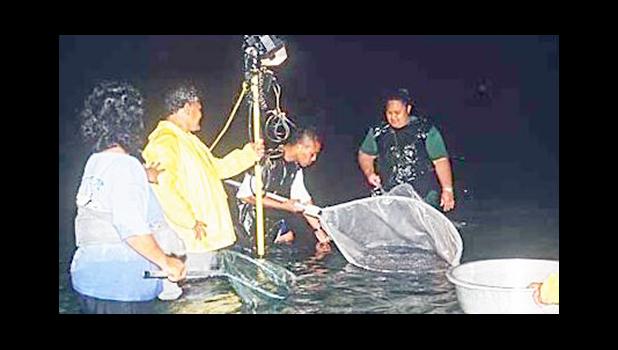 Palolo hunters in the sea with nets and flashlights