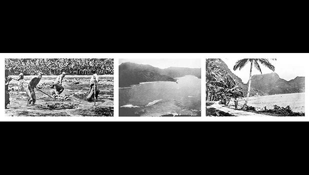 Marine biologist Alfred Mayor’s 1917 photos