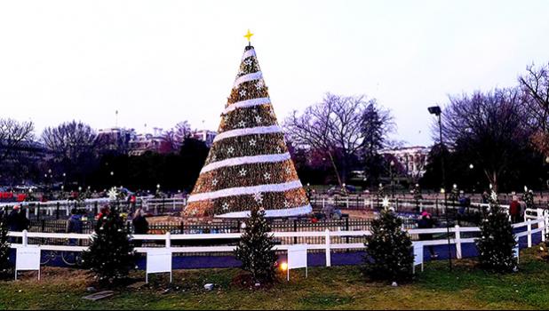 File photo of National Christmas Tree from past year.