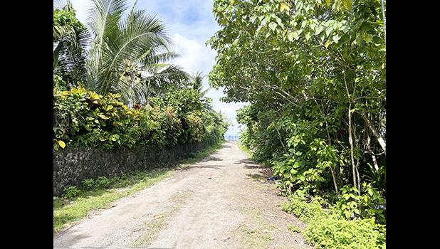 location where flight Pan Am flight 806 crashed