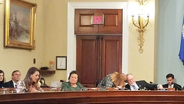 Congresswoman Amata and other members of the Subcommittee on Indian, Insular and Alaska Native Affairs. [photo: courtesy]