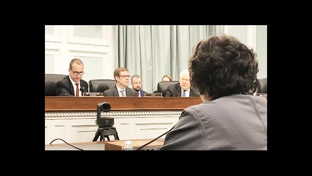 Congresswoman Aumua Amata testifies before the House T-HUD Subcommittee. [courtesy photo]