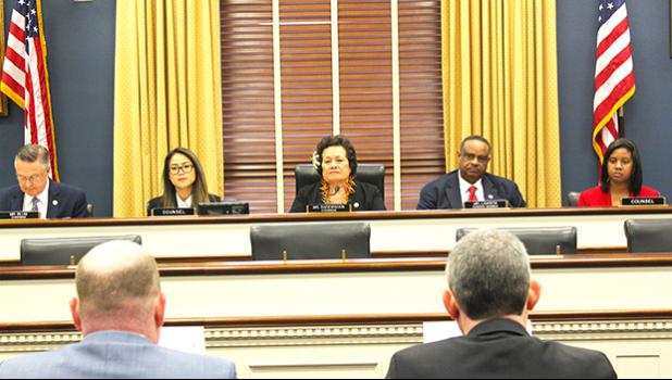 Chairman Amata during joint hearing on Broadband Access for Remote Areas.  [photo: courtesy]