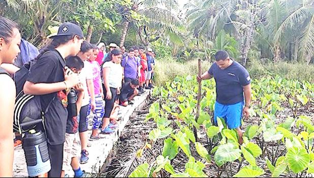 Boat captain for the NMSAS research vessel - RV Manuma - Peter Taliva'a making a brief presentation on the traditional way to maintain a healthy taufusi (taro plantation).  [Courtesy photo]
