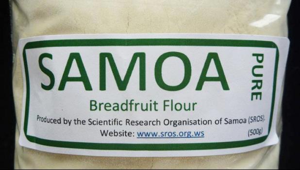 The 2017 Breadfruit summit being held in Samoa this week includes scientists, business developers, investors, traditional community leaders, food technology experts, farmers and project developers. Their goal is to set a pathway for ulu to be a major player in the economies of the Pacific Island and a leading component in the islands food security.  [Courtesy photo]