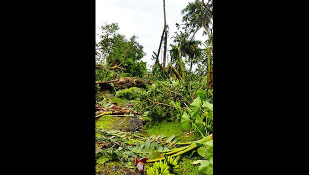 A family in Ili’ili learned after Tropical Storm Gita moved away last Friday afternoon that all kinds of trees blocked their access road and the trees also took down power lines to their house. As of yesterday, the family still has no electricity but is very thankful that there were no injuries or deaths in the two Samoas.  [courtesy photo]
