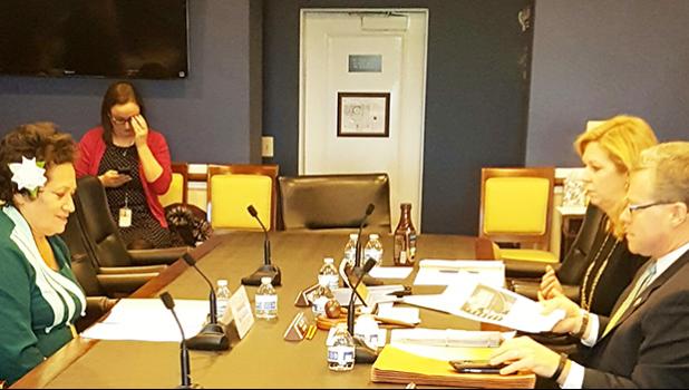 Congresswoman Amata testifies before the MilCon/VA Approps Subcommittee in the U.S. Capitol Thursday morning.  [Courtesy photo]