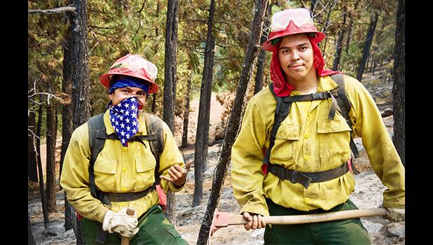 Photograph by Shawn Boyd inside the fire lines of the Cove Fire. Much of the devastation was described by fire chiefs as “a nuclear winter.” [Cal Officer of Emergency Services website]