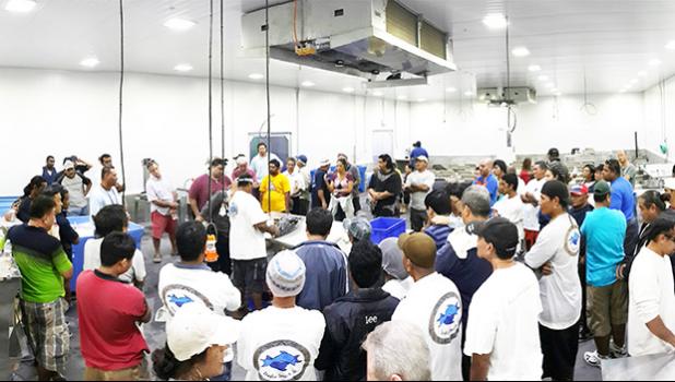 This May 2014 photo provided by Tri Marine International shows attendees of one of the fresh fish training workshops held at the Samoa Tuna Processors (STP) facility in Atu’u. Part of a fishery development grant from the Western Pacific Regional Fishery Management Council went towards the workshops. See story for details.  [photo: Tri Marine]