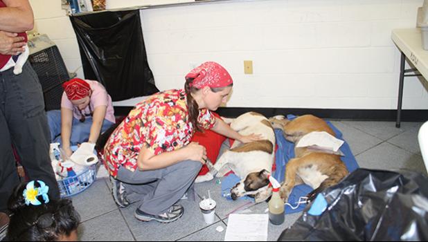 An earlier clinic held in 2012. [SN file photo]