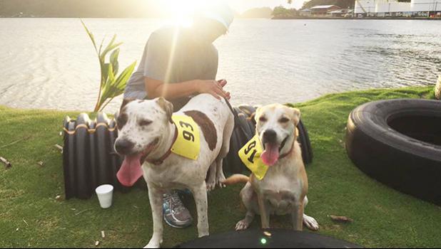 These two canine runners participated in the 5k and 14k Heart N Sole fun run hosted by SPW last Saturday.  [photo: TG] 