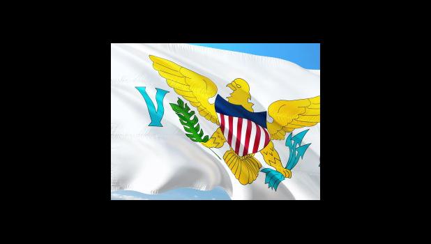 Virgin Islands Flag (image from website)