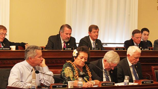 Congresswoman Amata during discussion of the details of her bill