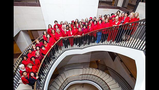 Women members of the House of Representatives in the U.S. Capitol. Rep. Amata is in the upper group (blue puletasi), and Speaker Pelosi is at the center.