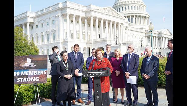 Congresswoman Uifa’atali Amata