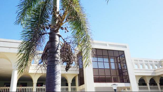  The courthouse in Apia, Samoa. [Photo: RNZI / Sally Round]