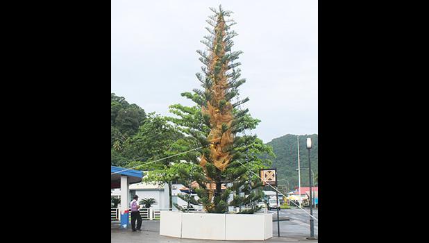 Territorial Christmas Tree 2020