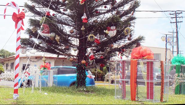 ASPA Christmas tree on the Airport road