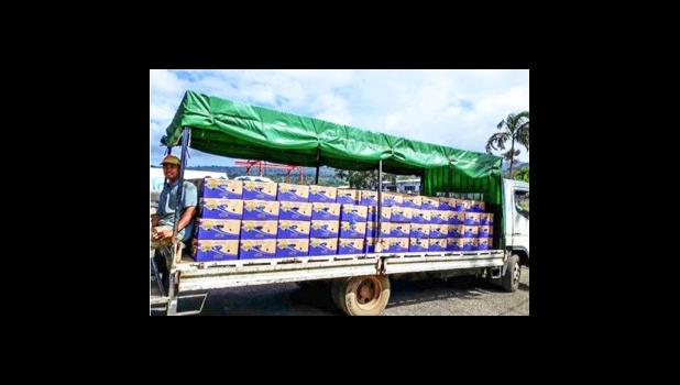 Truck carries bananas for export to the port in Samoa.