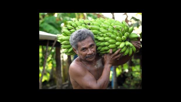 According to the report, thirteen out of twenty food commodities contributed the 0.2% month-over-month increase. Banana are up 10.1%. bananas