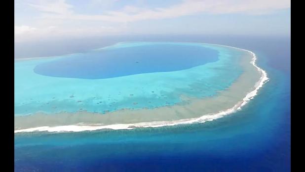 Beveridge reef