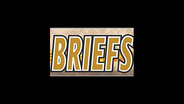 Briefs logo