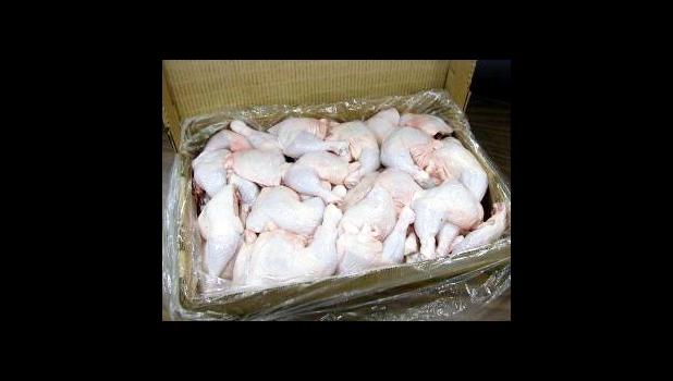 Bulk chicken leg quarters