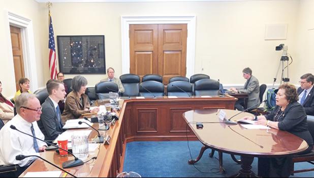 Congresswoman Amata testifying