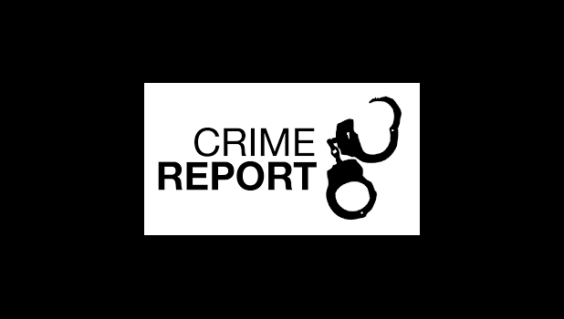 Crime Report logo
