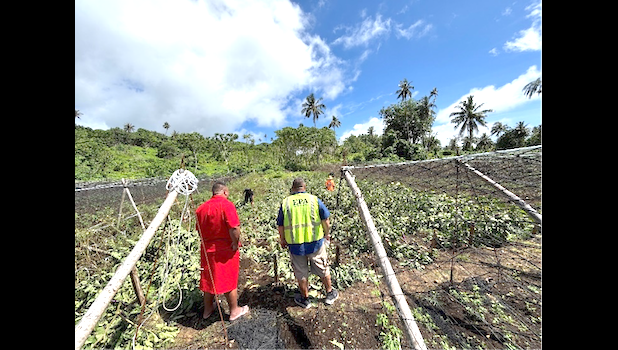 The farm owner was ordered to uproot and destroy all crops, which have been identified by AS-EPA to be tainted with the Complete Insect Killer and Triazicide Insect Killer pesticides. [courtesy photo Farm owner with EPA personnel