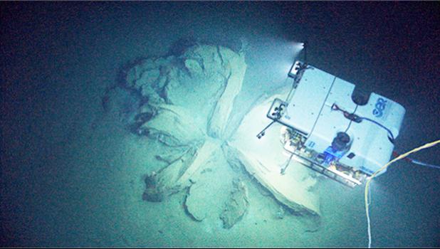 During a dive on sonar anomalies suspected to be a shipwreck, the Deep Discoverer remotely operated vehicle instead discovered the remnants of asphalt volcanoes, or “tar lilies.” Image courtesy of NOAA Office of Ocean Exploration and Research, Okeanos Explorer Gulf of Mexico 2014 Expedition.[photo: NOAA website]