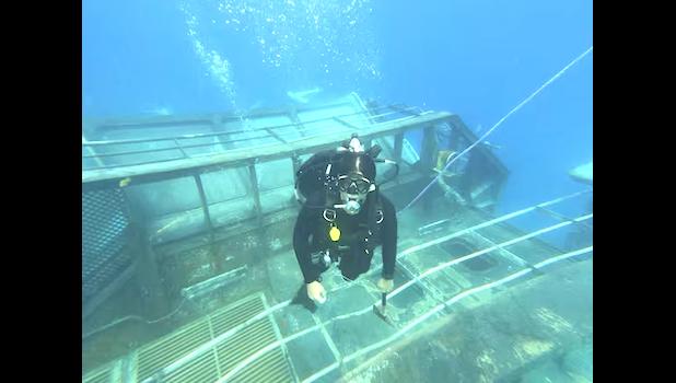 Diver on sunken ship