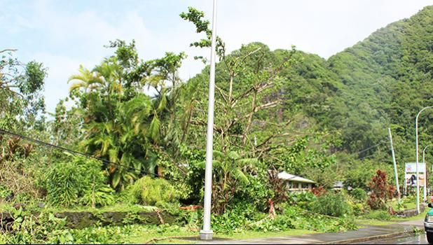 This is the scene along the Nu’uuli/Airport road where fallen banana trees along with large broken branches from trees sit on top of electric wires last Saturday morning. There were similar scenes at other areas of Tutuila impacted by Tropical Storm Gita. [photo: FS]