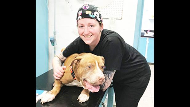 Dr. Kathleen Riley with her patient, a large bown and white dog named ‘KAMA’