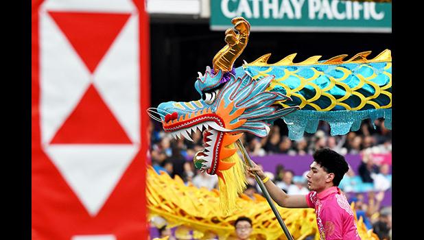 One of many incredible dragons 