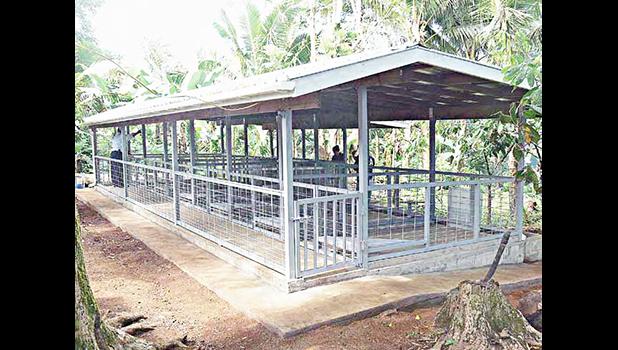A dry-litter piggery