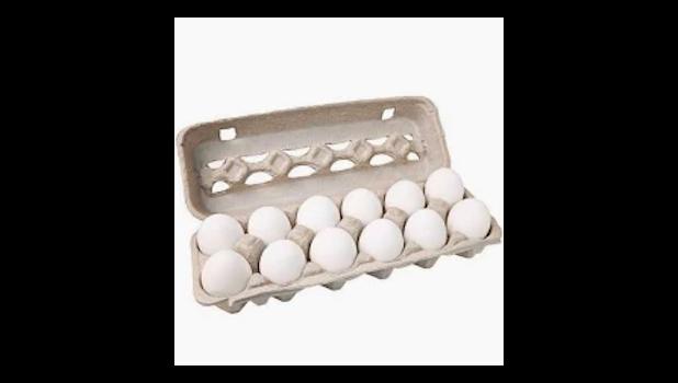 dozen eggs 
