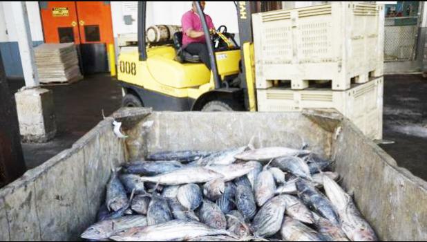  Cannery, American Samoa[ Photo: Supplied]