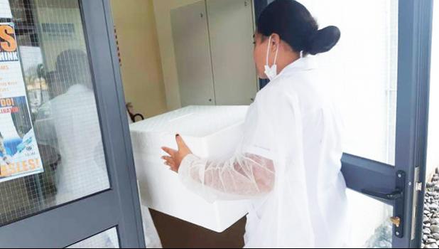  A live coldchain vaccine delivery of MMR in Samoa.
