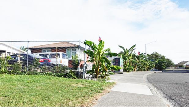 Matamata's Hastings home
