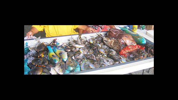A variety of fish, a huge sea eel and varying sizes of lobsters on this table were being sold by two fishermen last Saturday morning during the “fresh fish open market” in the parking lot of the Fagatogo Market Place, where Commerce Department along with Marine and Wildlife Resources sets up tents, tables and ice for local fishermen to sell their catches.  [photo: FS]