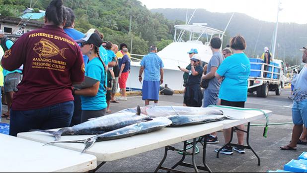 Fish caught during the 4th Annual Fagota Mo Taeao Open Fishing Tournament