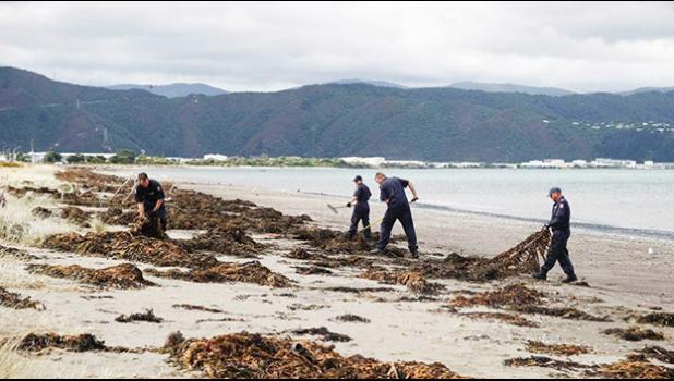 Police searching on beach 