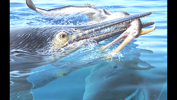 ARTWORK BASED ON FOSSILS