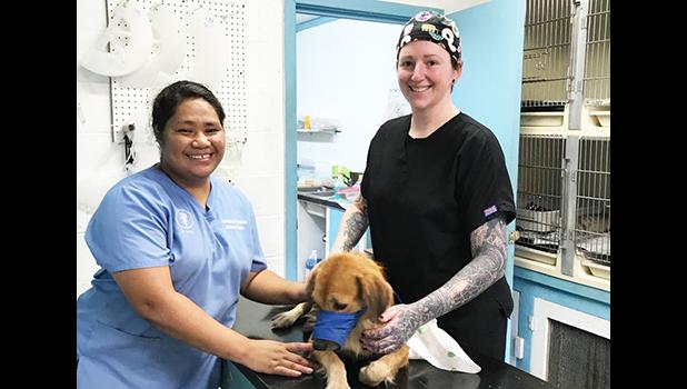 Dr. Kathleen Riley and Saiata Vaeoso treating a dog.