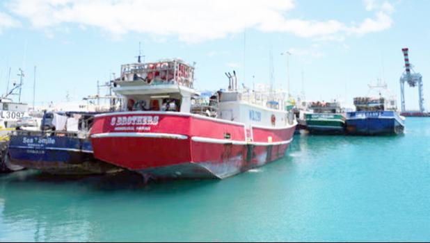 Hawaii longliners docked at Pier 22 