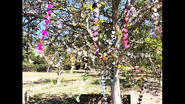 Garlands of more than 3,600 paper hearts on a walnut tree